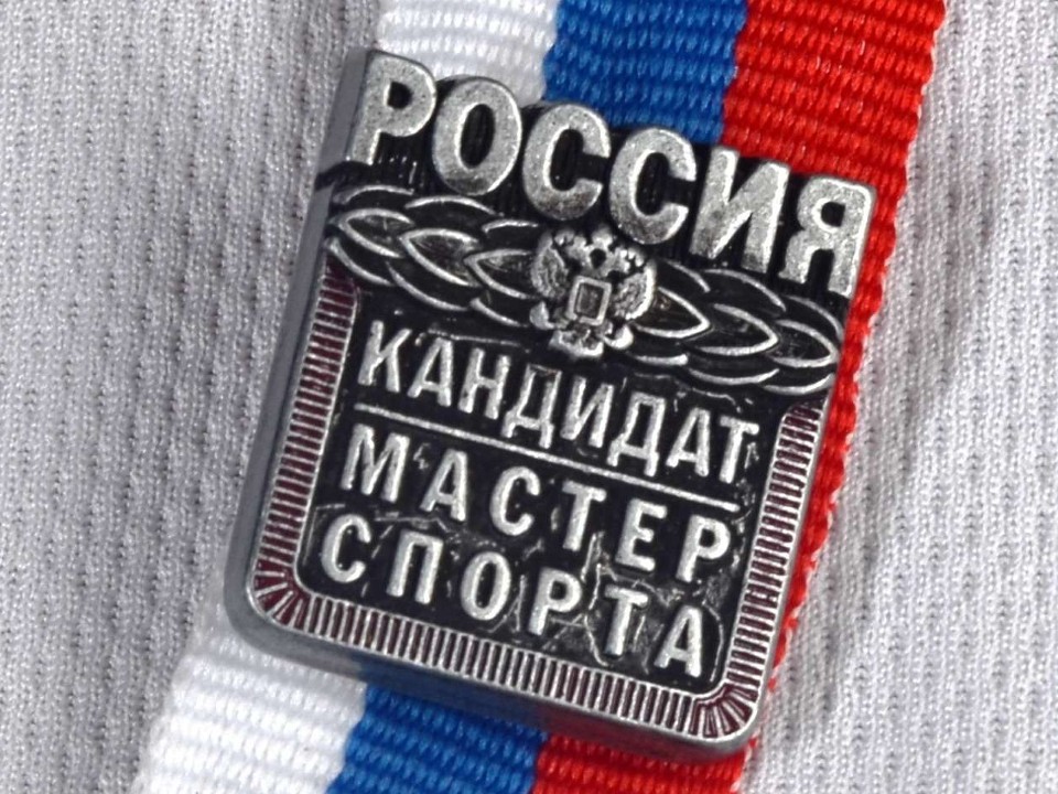 Лобненские гимнастки выполнили нормативы на взрослые и юношеские разряды