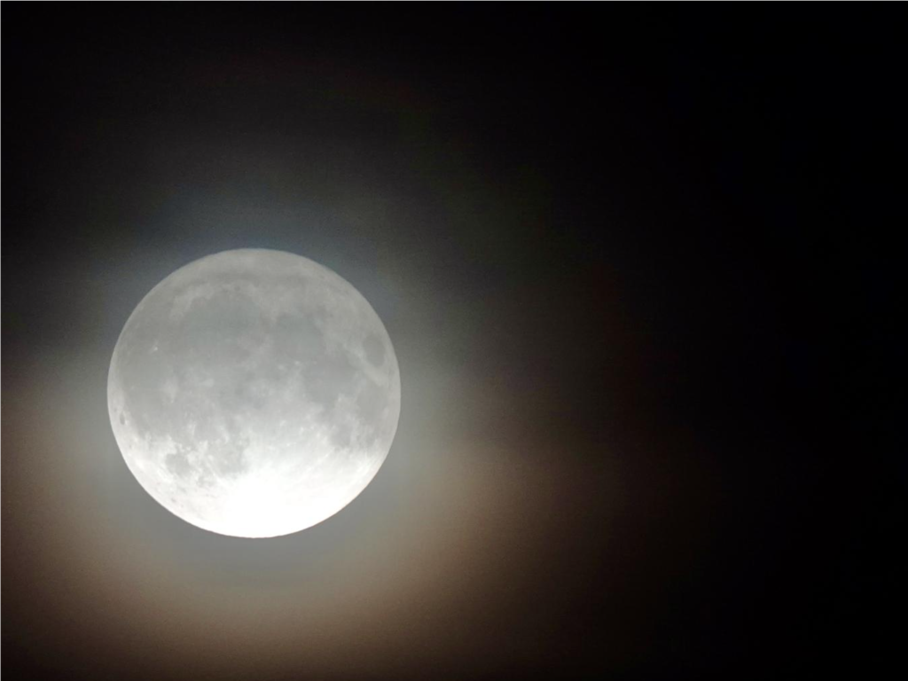 Холодная Луна в Подмосковье: до самого яркого суперлуния за 17 лет остались сутки