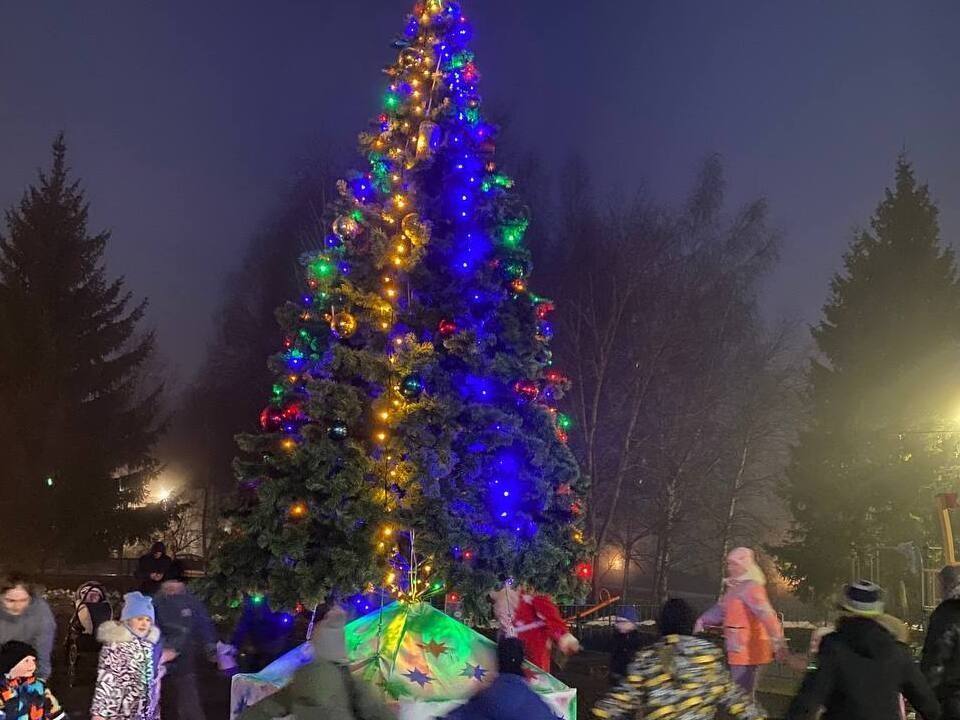 Первые новогодние огни зажглись на праздничной елке в Шаховской