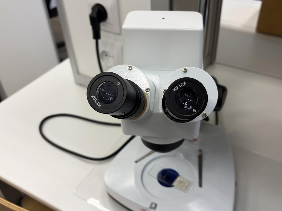 Школьные уроки проходят в медико-биологической лаборатории гимназии №9