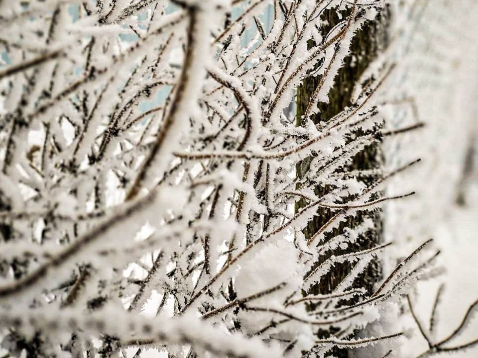 Последний теплый день позади: в Москву и Подмосковье идут морозы до −7°C