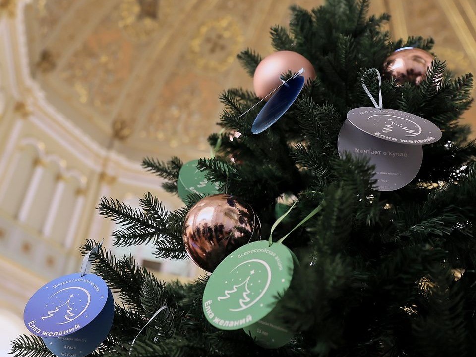 Заветное желание в виде шахмат: глава Минэнерго исполнит мечту мальчика из Домодедова