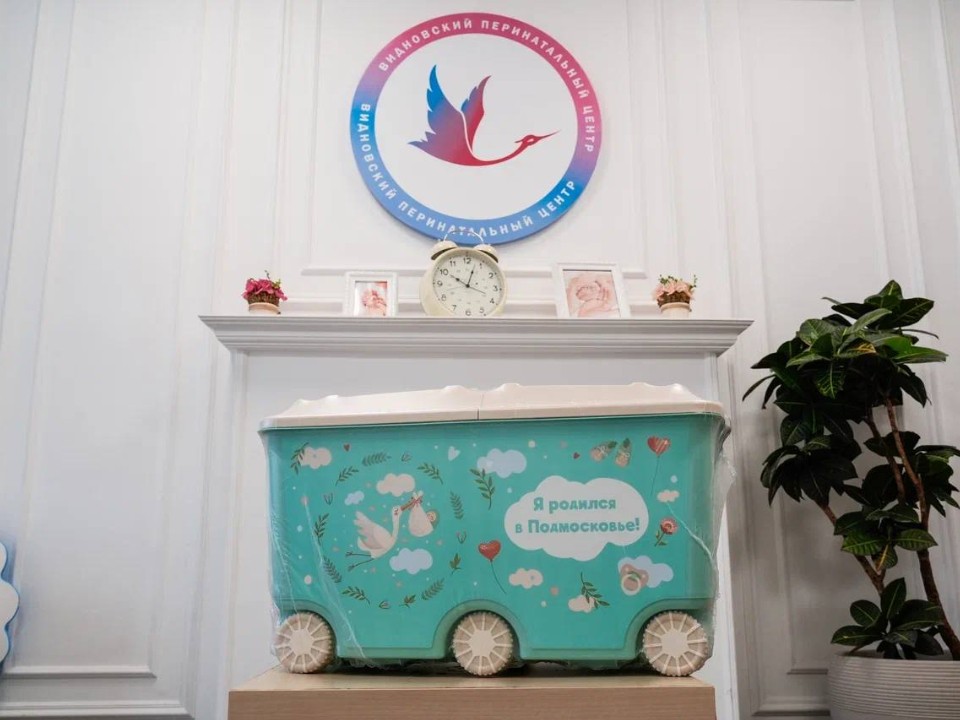 Вместо беготни по магазинам: как молодые родители в Подмосковье получают 50 нужных ребенку вещей