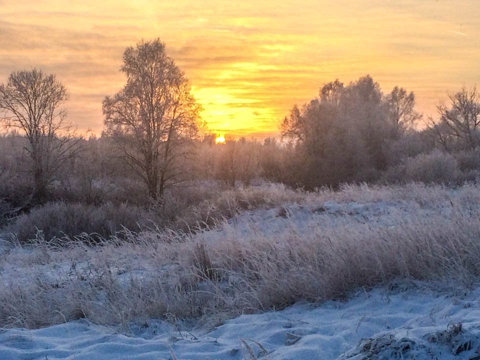 Что значит снег на Зимнее Знаменье? Добрая примета, которая радовала наших предков больше всего