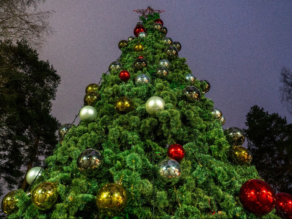 Тайная резиденция Деда Мороза в Шаховской: что ждет гостей 6 декабря