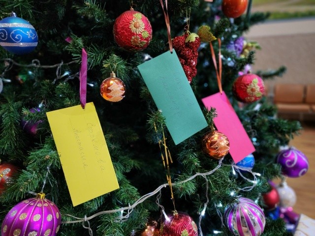 От депутатов до культработников: в Петрово-Дальнем объединяются ради исполнения детских желаний