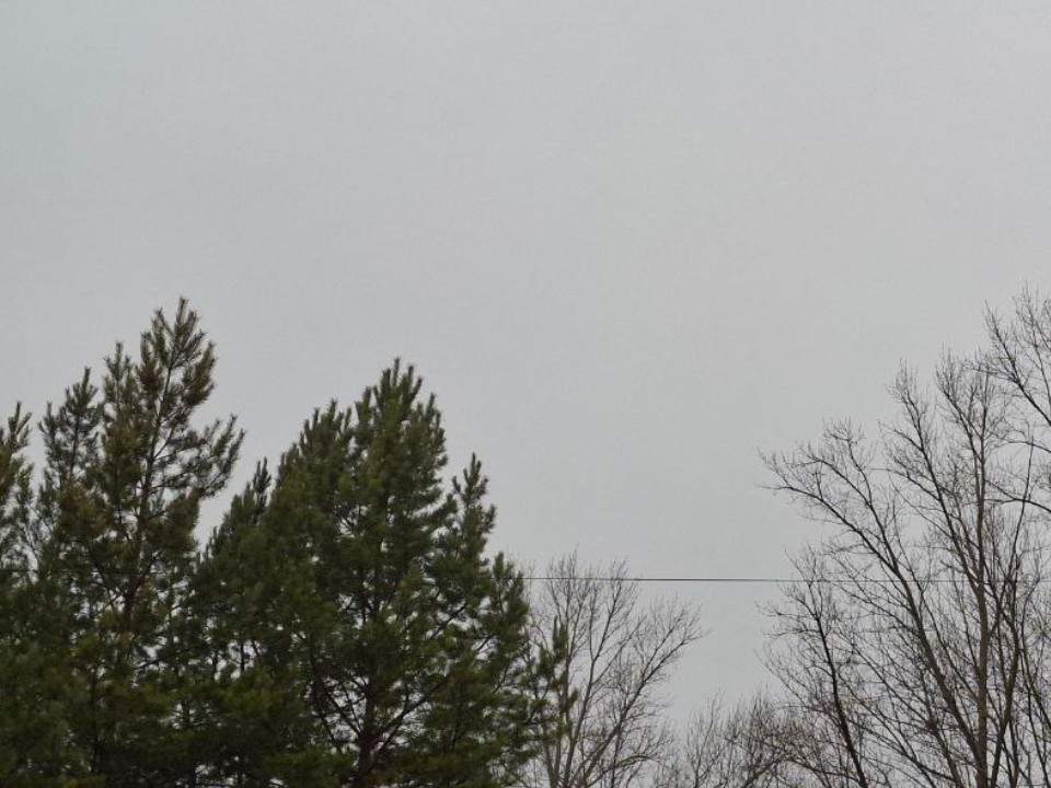 В Видном погода порадует жителей теплом до +15 градусов