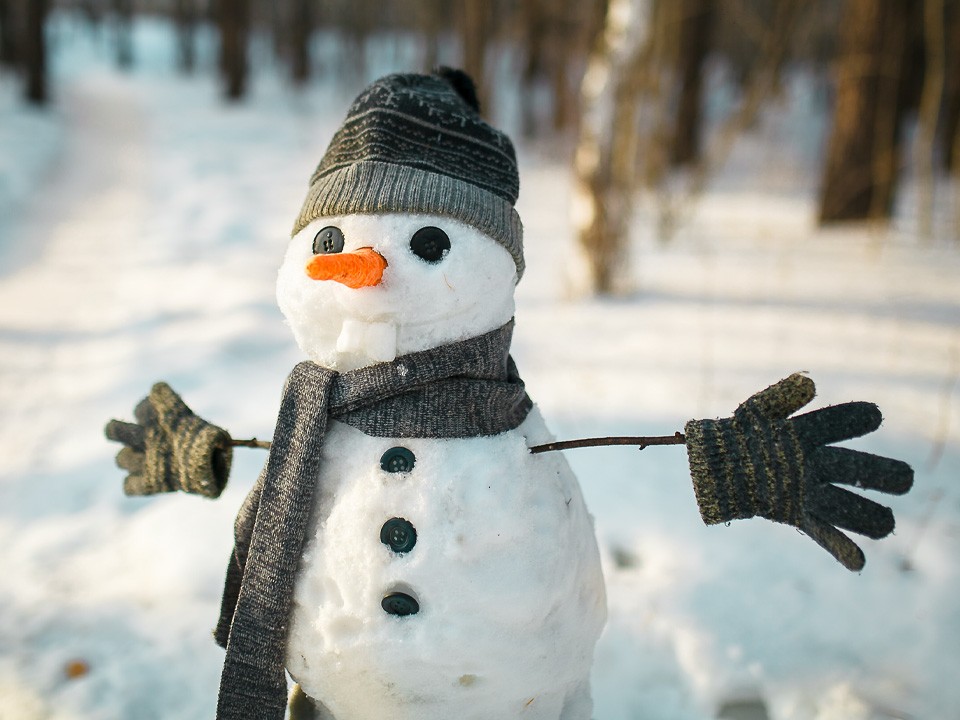 Неожиданный «парад»: Балашиха удивила жителей целой армией снеговиков