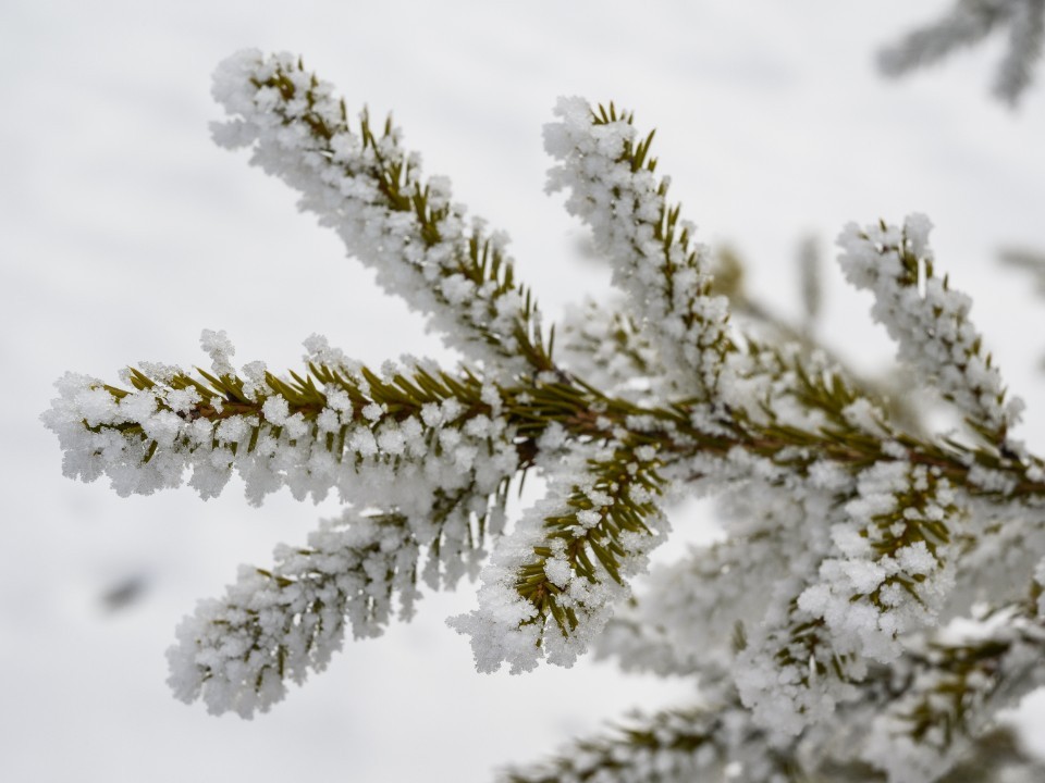 Сколько продлится арктическое вторжение с метелью в Подмосковье, сказал синоптик