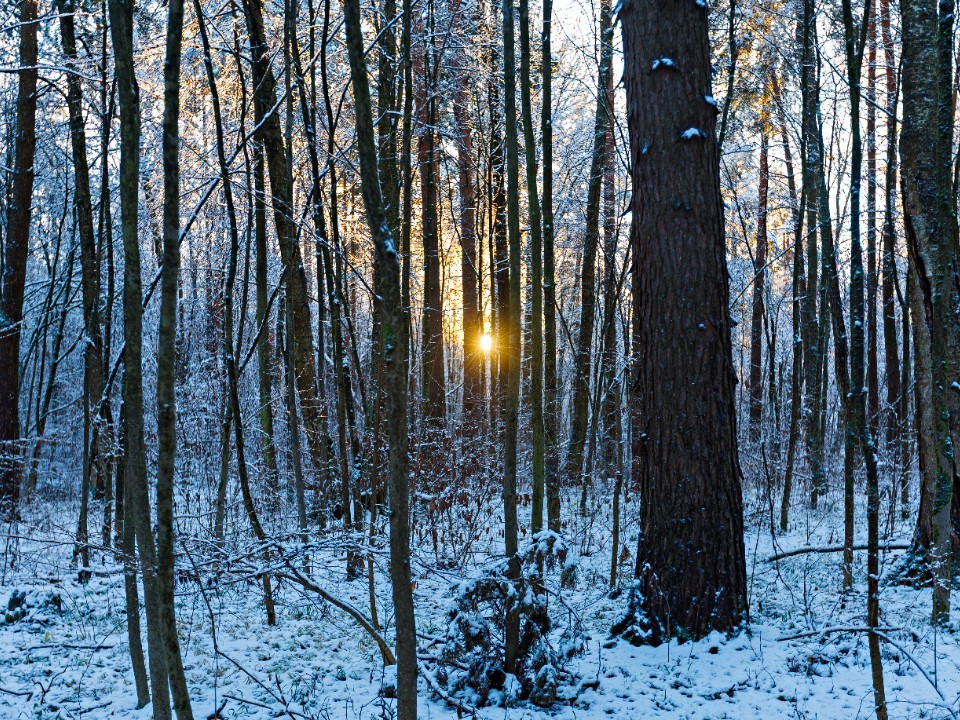 Мороз, солнце и паста карбонара: как туристы прошли по дороге в Лавру к Гремячему Ключу