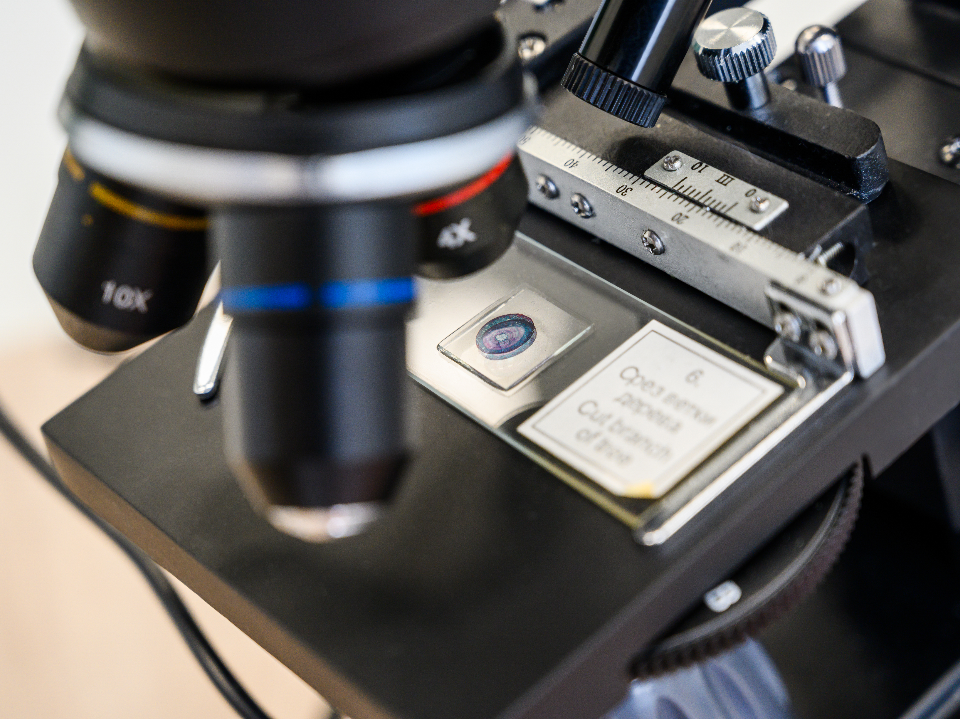 Студентка из Фрязина выиграла научную конференцию с программой для измерения пор целлюлозы