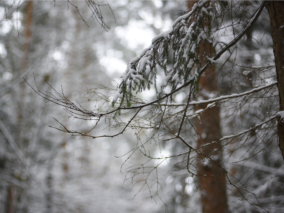 Ожидать ли гололедицу 10 декабря в Подмосковье: прогноз погоды