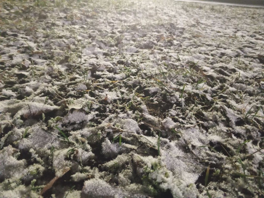 В Егорьевске «неожиданно» выпал снег: наступит ли настоящая зима в Подмосковье на этой неделе