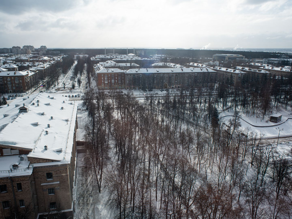 Шансы велики: синоптик оценила вероятность снега в Подмосковье на Новый год