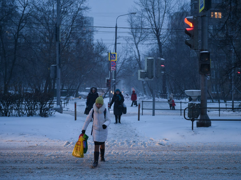 До -15 градусов и метели: синоптик назвал дату прихода настоящей зимы в Подмосковье