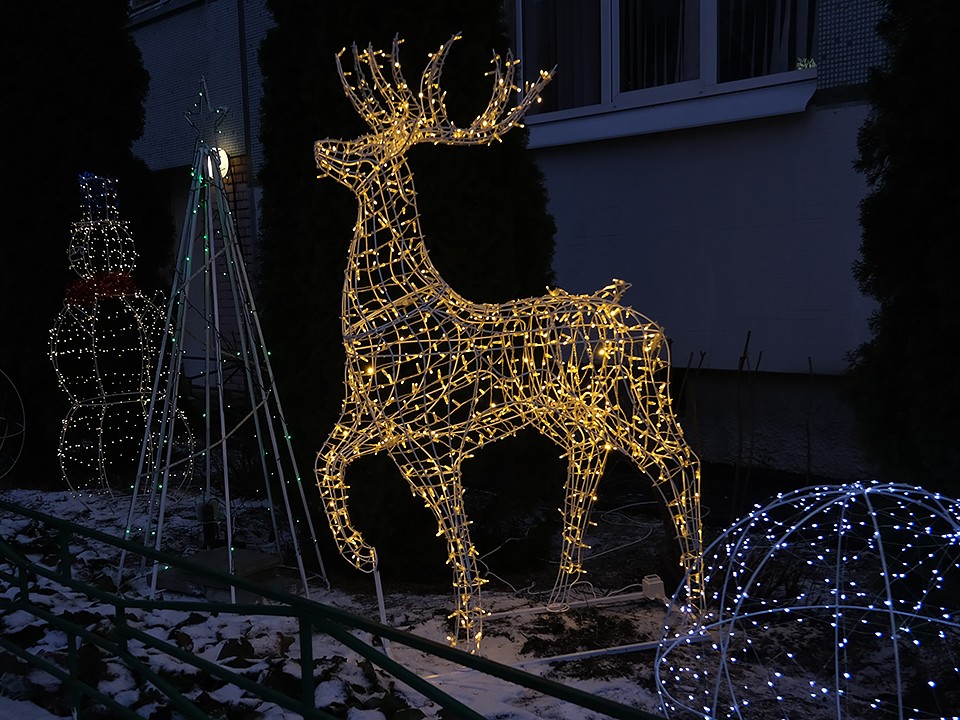 Охота на северного оленя попала в объектив камеры в Балашихе