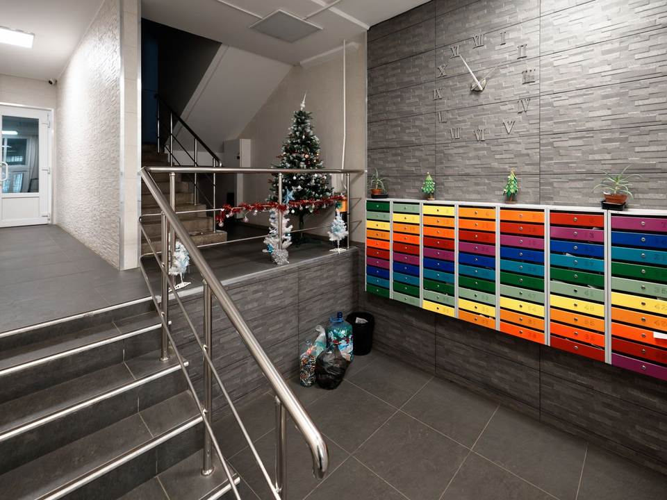 Секрет легальной елки: как жителям Котельников украсить подъезд и не потерять ₽15 тыс.