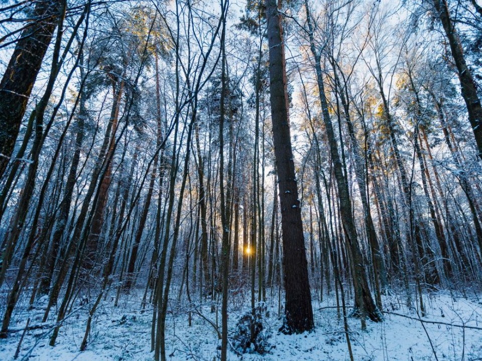 Прогноз геомагнитной активности 26 декабря: вероятность магнитной бури 7%