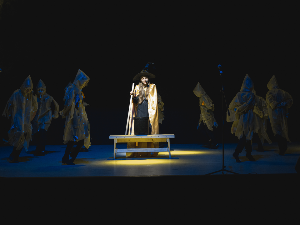 Центральная детская библиотека приглашает на спектакль по мотивам сказки Андерсена