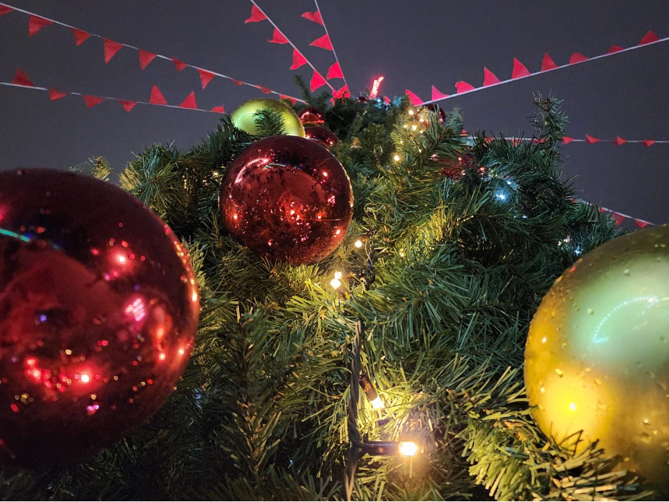 Мандариновый квест и розыгрыш призов: как в Домодедове открыли зимний сезон