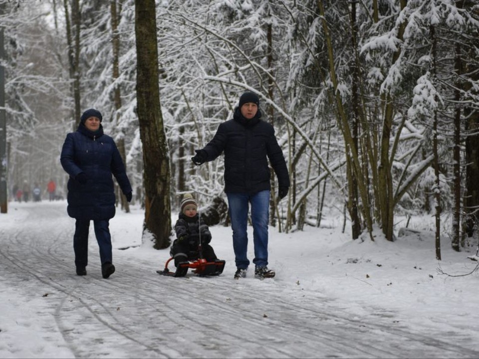 Когда в Шаховской выпадет снег
