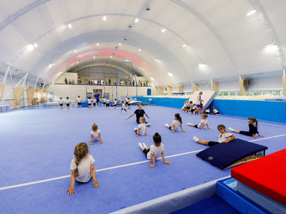 На брусьях и перекладине: новогодний турнир по спортивной гимнастике среди мальчиков прошел в Подольске