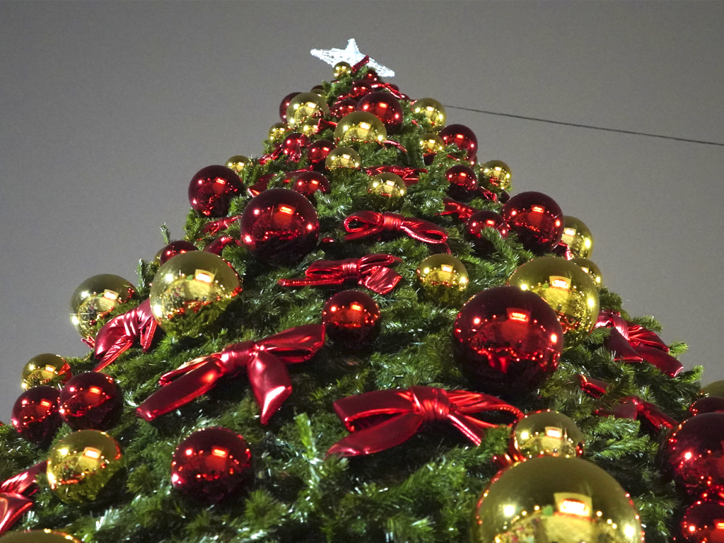 Зарайцев приглашают на новогоднюю сказку про Емелю и щуку