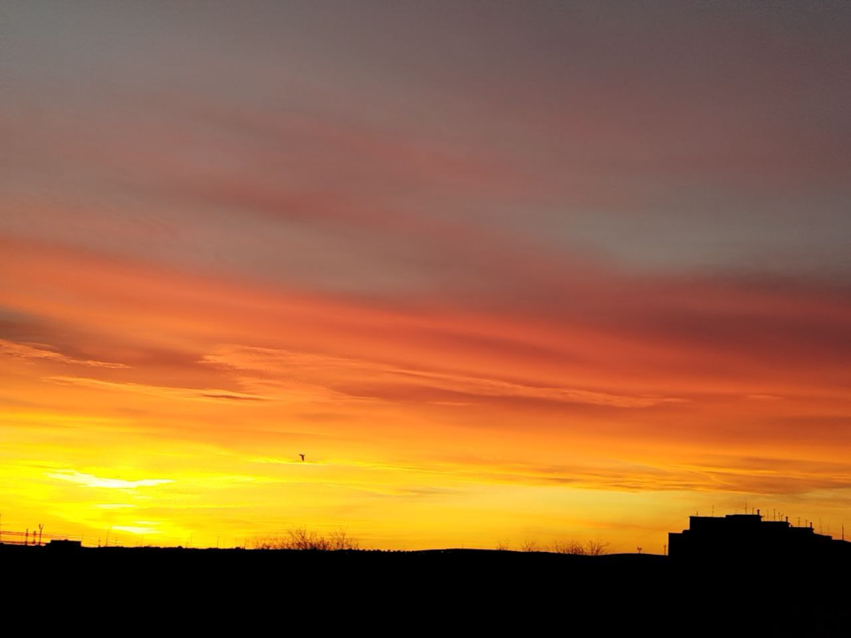 Магнитная буря 2 декабря 2025: удар от мощной вспышки на Солнце или спокойный день? Прогноз ученых