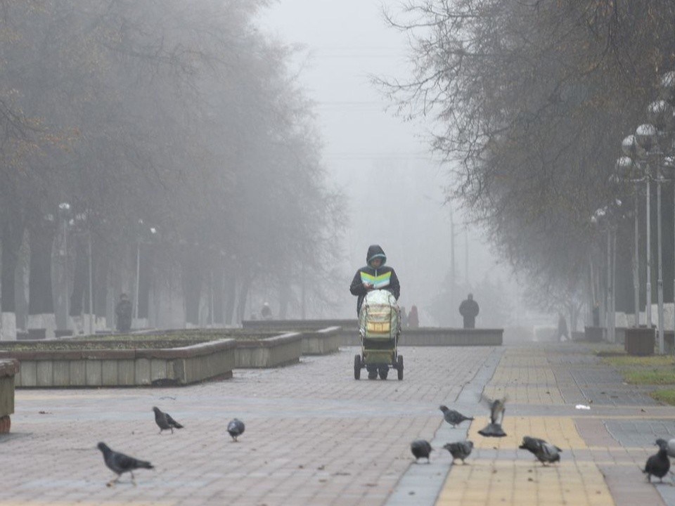 Туман с видимостью до 200 м задержится в Подмосковье до полудня