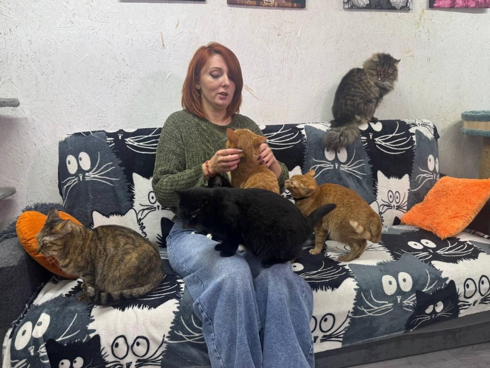 «Большая помощь маленькому другу»: в Подольске молодежь передала более 100 кг корма для домашнего приюта кошек