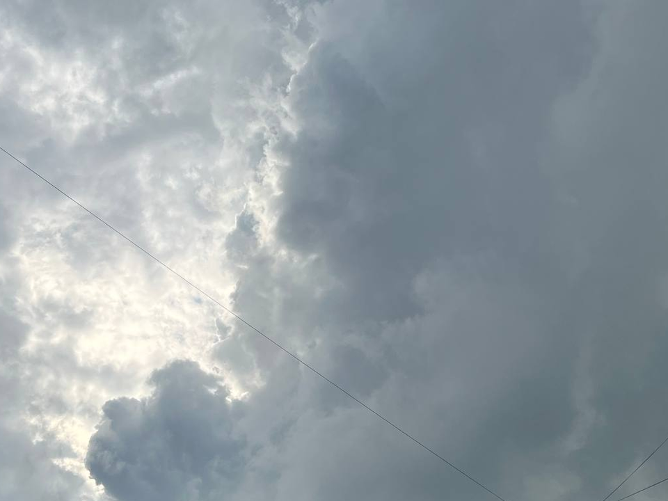 Погодная аномалия в Подмосковье сохранится до конца недели: ждать ли сугробов на выходных