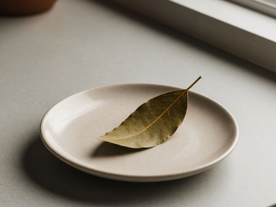 Лавровый лист на новогодней елке — зачем так делают и что это меняет