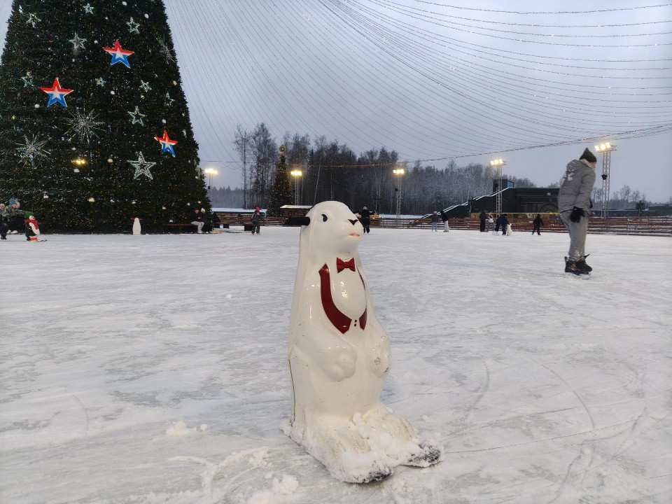 Световой шатер и бесплатный лед: в парке «Патриот» открылся главный каток Подмосковья