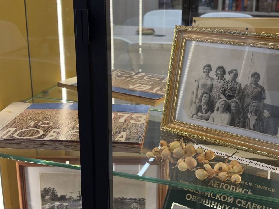 Особенный книжный фонд собрали в Непецинской библиотеке