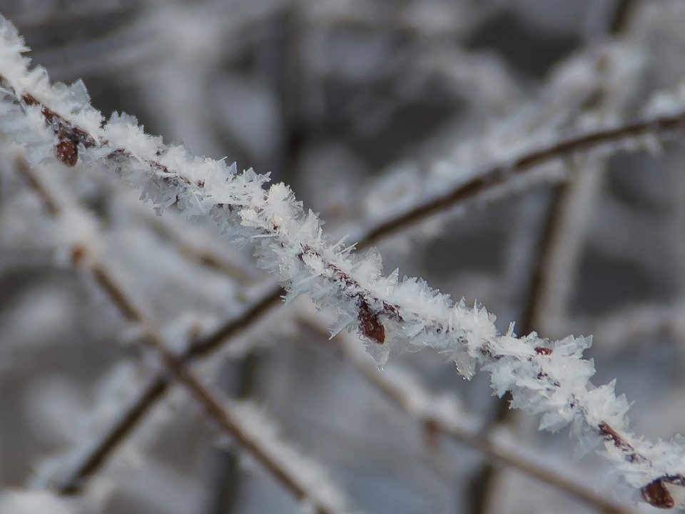 Какой народный праздник отмечают 17 декабря 2025: что можно и нельзя делать на Варварин день