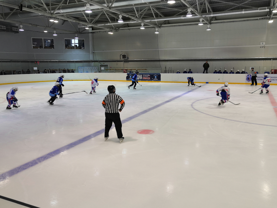 Зарайские хоккеисты завершили год победой на выезде