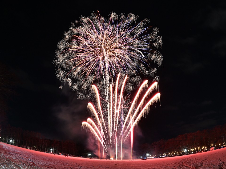 Штраф до ₽50 тыс.: где и когда можно запускать фейерверки в Подмосковье