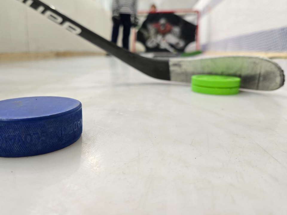 Женские хоккейные команды из восьми городов России встретились на льду в Домодедове