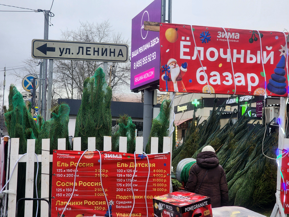 Шесть официальных площадок для покупки живых елок откроются в Реутове 15 декабря