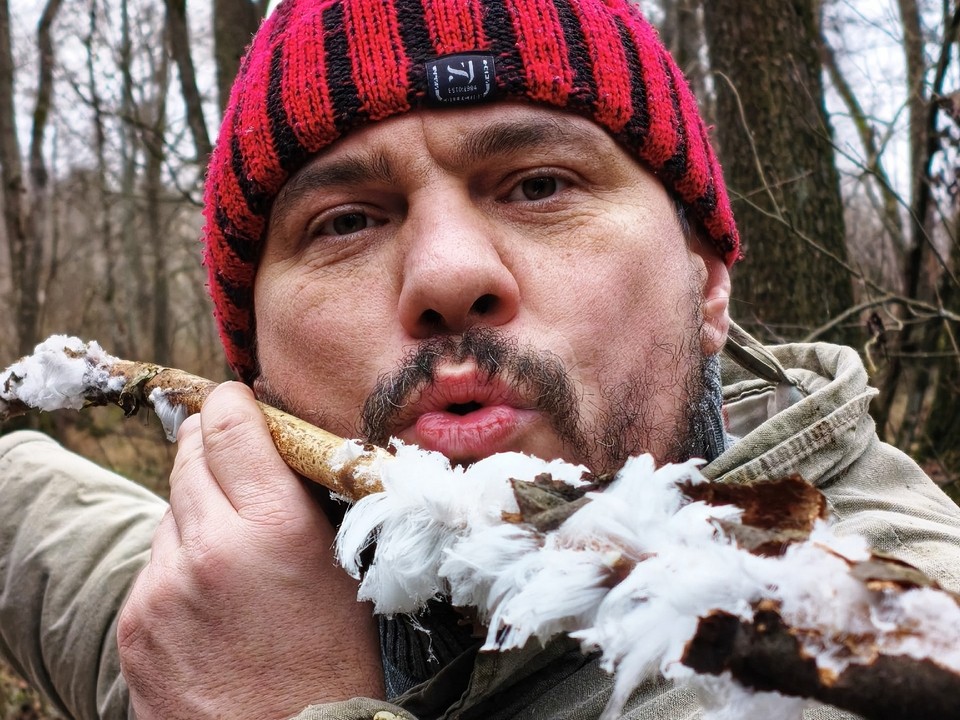 Уникальная находка: похожий на ледяную шерсть гриб обнаружен в луховицком лесу