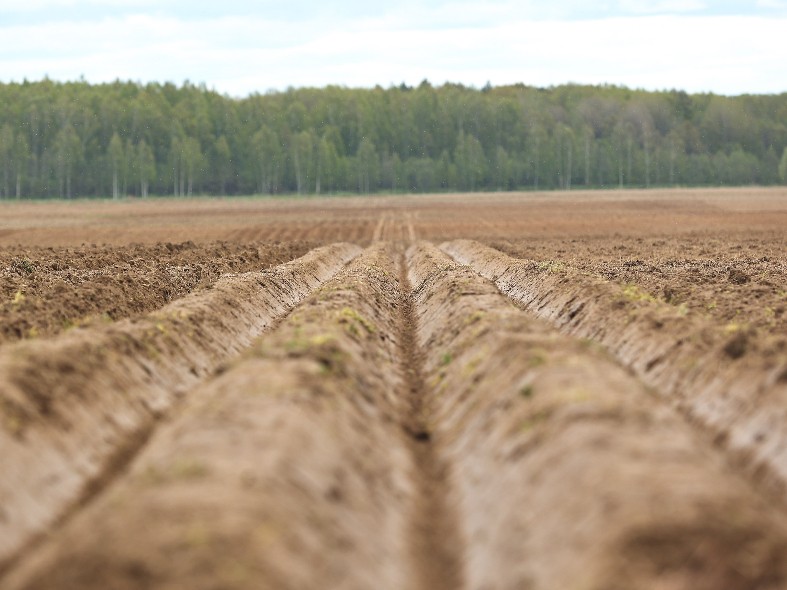 Большая земля — малому бизнесу: как фермеры Подмосковья получают сотни гектаров без торгов и что с этим делать дальше