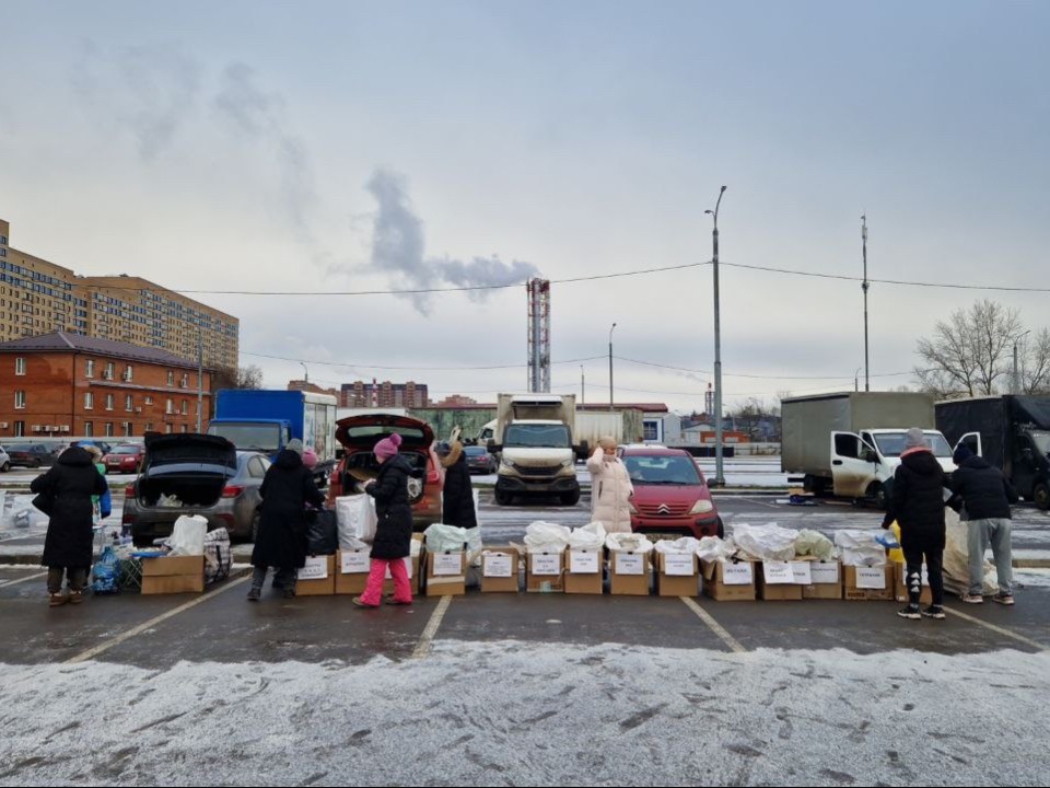 Очистить дом от хлама с пользой: как домодедовские экоактивисты проводили старый год