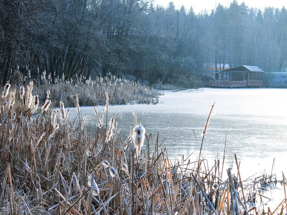 Декабрь напомнит о себе: именно эти дни станут поворотными к настоящей зиме