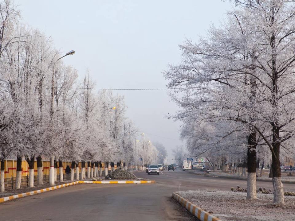 Вместо снега — каток: синоптик объяснила, кто виноват в гололеде в Московской области