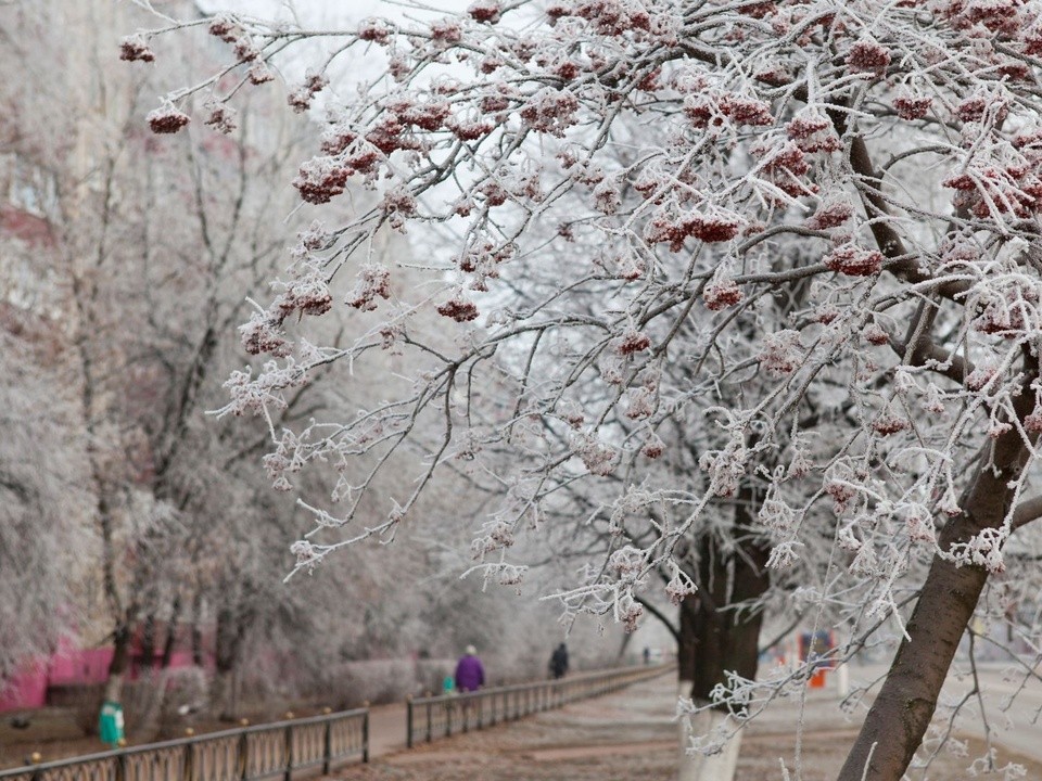 Снег в столице не задержится: как завершится декабрь в Московском регионе