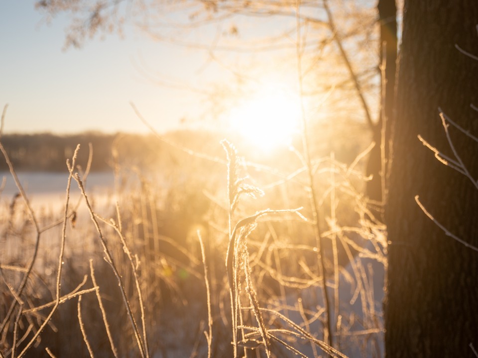 Зимнее солнцестояние 2025: как оно повлияет на знаки Зодиака