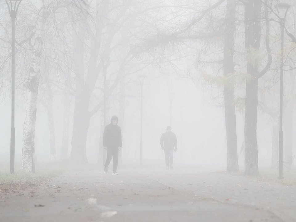 Туман, гололедица и аномальное тепло: прогноз погоды в Подмосковье на субботу