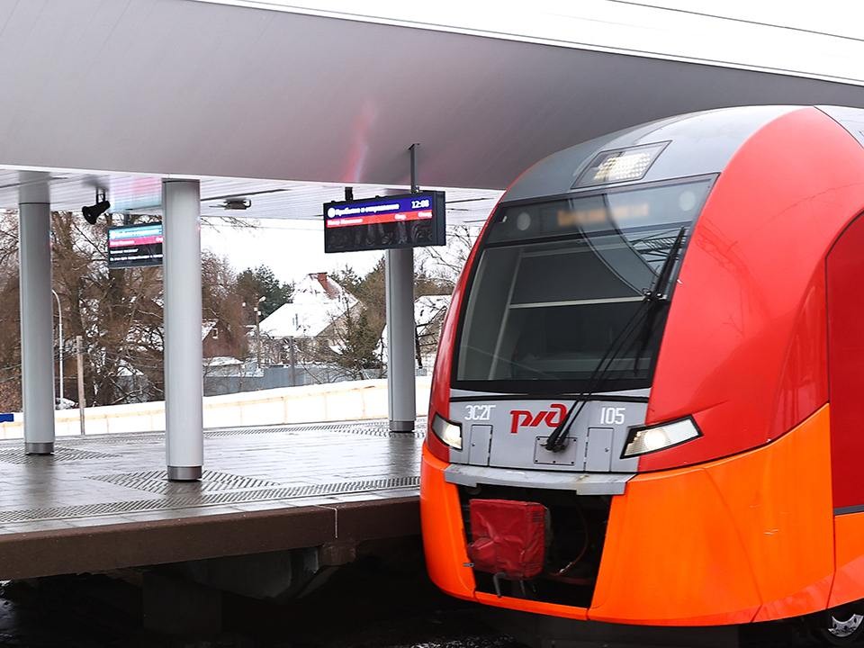 «Зеленый» рекорд Подмосковья: лесные грузы на МЖД показали впечатляющий рост