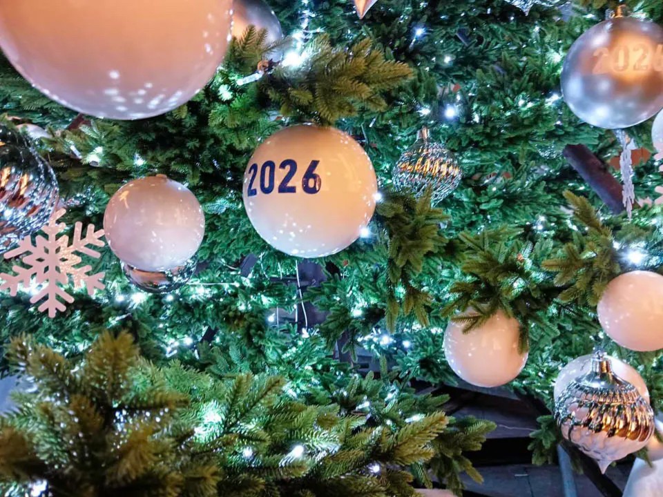 Безудержное веселье: как пережить новогодние праздники без штрафа и срока