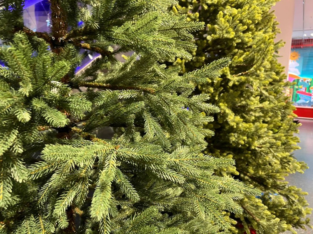 Штраф вместо елки может испортить праздник: как не потерять ₽500 тыс.